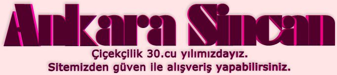 Ankara Sincan çiçekçilik