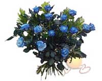 P�narba�� Mahallesi �i�ek�i adresleri  11 adet mavi g�l �zel tanzim