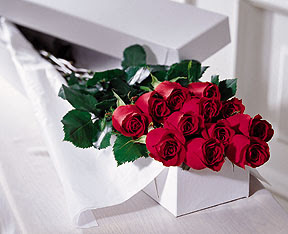 Mara�al�akmak Mah sevgilime hediye �i�ek  �zel kutuda 12 adet g�l
