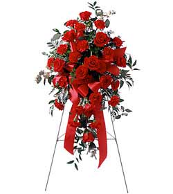 Plevne Mahallesi �i�ek ma�azas�  perf�rje �i�egi d�g�n ve a�ilis