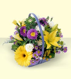 Andi�en Mahallesi �i�ek�iler  sepette kir �i�eklerinden Ertu�rulgazi Mah �i�ek g�nderme 