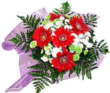 karisik gerbera ve kir �i�egi  H�rriyet Mah 14 �ubat sevgililer g�n� �i�ek 