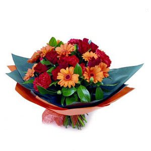 g�l gerbera ve karanfiller  Plevne Mahallesi �i�ek ma�azas� 