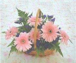 gerbera �i�eklerinde sepet  Ertu�rulgazi Mah �i�ek g�nderme 