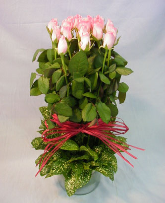 13 adet pembe g�l silindirde  Ertu�rulgazi Mah �i�ek g�nderme 