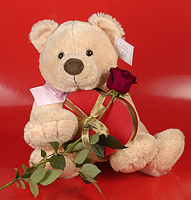 kalp oyuncak ve g�l ��geni  Ertu�rulgazi Mah �i�ek g�nderme 