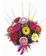 karisik gerbera �i�ekleri Ertu�rulgazi Mah �i�ek g�nderme 