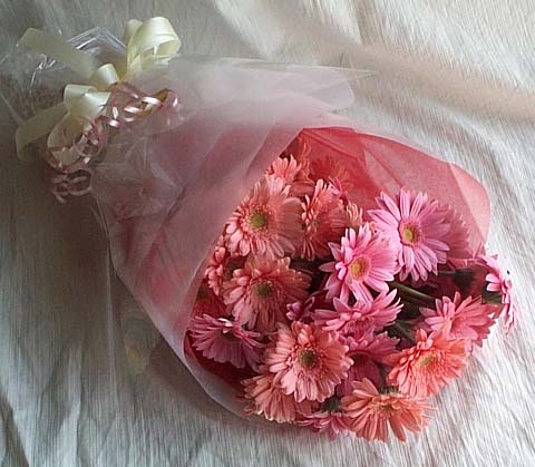 17 adet gerbera buketi Fatih �i�ek g�nderme sitemiz g�venlidir 
