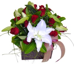 Fatih �i�ek g�nderme sitemiz g�venlidir  13 adet kirmizi g�l ve kazablanka