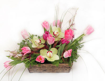 sepet i�erisinde 3 adet orkide ve lale me�rutiyet �i�ek�i ma�azas� 