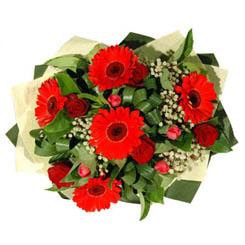 Osmanl� Mah �i�ek online �i�ek sipari�i   5 adet kirmizi g�l 5 adet gerbera demeti