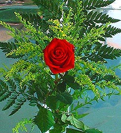 1 adet kirmizi g�l buketi  Menderes Mah �i�ek yolla , �i�ek g�nder 