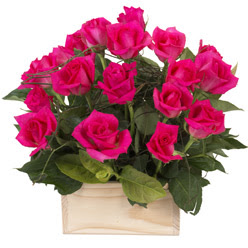 12 adet pembe g�llerden sepet tanzimi Yunusemre Mah hediye �i�ek yolla 