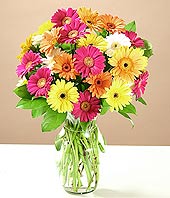 G�k�ek Mahallesi �i�ek�i telefonlar�  17 adet karisik gerbera