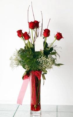 �stasyon Mah �i�ek yolla  6 adet kirmizi g�l ve cam yada mika vazo