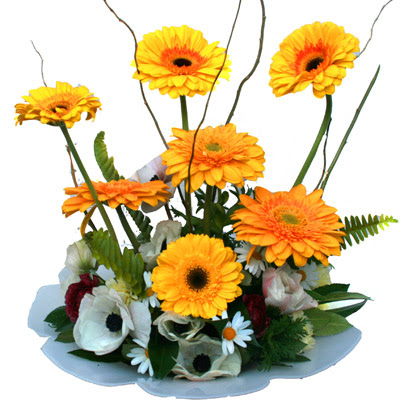 camda gerbera ve mis kokulu kir �i�ekleri H�rriyet Mah 14 �ubat sevgililer g�n� �i�ek 