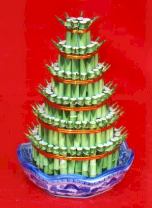 Lucky Bamboo sans melegi �i�egi Sel�uklu Mah kaliteli taze ve ucuz �i�ekler 