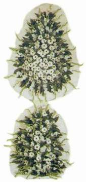 Menderes Mah �i�ek yolla , �i�ek g�nder  d�g�n a�ilis �i�ekleri nikah �i�ekleri Ahievran Mahallesi �i�ek sipari�i sitesi 