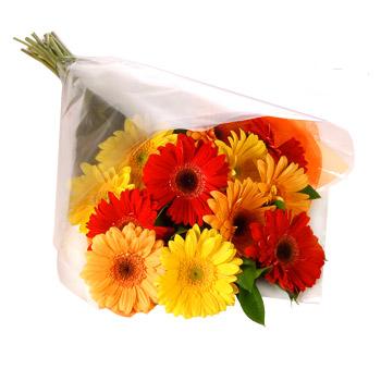 Karisik renklerde gerbera buketi �stasyon Mah �i�ek yolla 