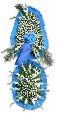 Sincan �nternetten �i�ek sipari�i  d�g�n a�ilis �i�ekleri Menderes Mah �i�ek yolla , �i�ek g�nder 