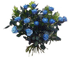 Bah�ekap� Mah cicekciler , cicek siparisi  9 mavi g�l g�zel bir buket