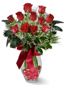 9 adet g�l Tando�an Mah g�venli kaliteli h�zl� �i�ek  kirmizi g�l 