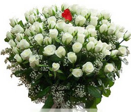 Tando�an Mah g�venli kaliteli h�zl� �i�ek  100 adet beyaz 1 adet kirmizi g�l buketi