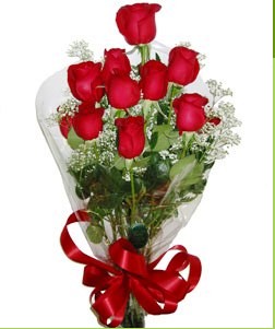 Gaziosmanpa�a Mah �i�ek g�nderme  10 adet k�rm�z� g�lden g�rsel buket