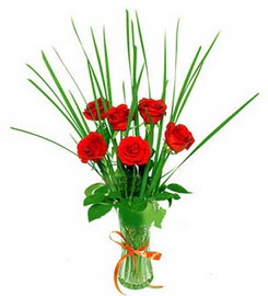 P�narba�� Mahallesi �i�ek�i adresleri  6 adet k�rm�z� g�llerden vazo �i�e�i