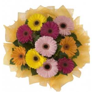 Bah�ekap� Mah cicekciler , cicek siparisi  11 adet kar���k gerbera �i�e�i buketi