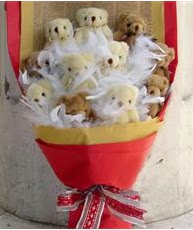 Tando�an Mah g�venli kaliteli h�zl� �i�ek  11 adet pelu� ay�dan ay� buketi