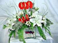 me�rutiyet �i�ek�i ma�azas�  Anthurim Kazablanka  g�l