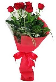 �i�ek yolla sitesinden 7 adet k�rm�z� g�l Tando�an Mah g�venli kaliteli h�zl� �i�ek 
