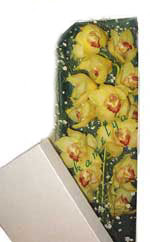 Ankara Sincan cicekci  Kutu i�erisine dal cymbidium orkide
