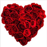 Gaziosmanpa�a Mah �i�ek g�nderme  19 adet k�rm�z� g�lden kalp tanzimi