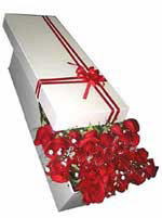 H�rriyet Mah 14 �ubat sevgililer g�n� �i�ek  11 adet 1.kalite magnum g�ller
