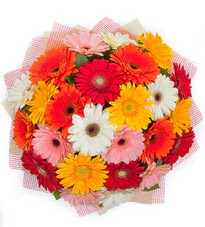 15 adet renkli gerbera buketi Yunusemre Mah hediye �i�ek yolla 