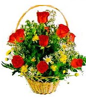 9 adet g�l ve sepette k�r �i�ekleri Tando�an Mah g�venli kaliteli h�zl� �i�ek 
