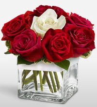 Tek a�k�ms�n �i�e�i 8 k�rm�z� 1 beyaz g�l Gaziosmanpa�a Mah �i�ek g�nderme 