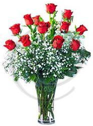 vazo i�erisinde 12 adet k�rm�z� g�l Gaziosmanpa�a Mah �i�ek g�nderme 