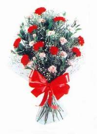 H�rriyet Mah 14 �ubat sevgililer g�n� �i�ek  Karanfillerden g�zel bir demet