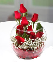 Cam fanus i�erisinde 9 adet k�rm�z� g�l Menderes Mah �i�ek yolla , �i�ek g�nder 