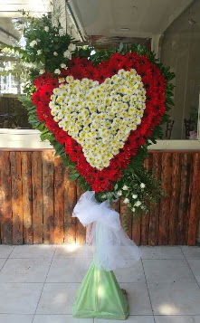 D���n Nikah pano �zel tanzimi Tando�an Mah g�venli kaliteli h�zl� �i�ek 