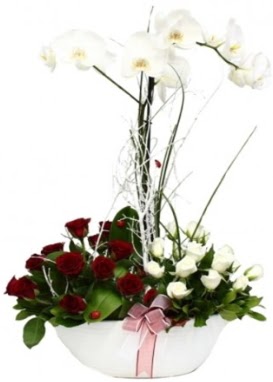 Tek dal beyaz orkide 8 beyaz 8 k�rm�z� g�l Mara�al�akmak Mah sevgilime hediye �i�ek 