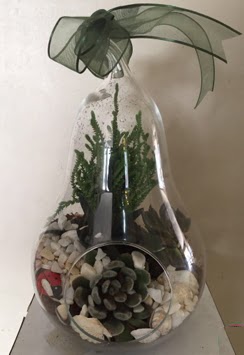Orta boy armut terrarium 3 kakt�s Ahievran Mahallesi �i�ek sipari�i sitesi 