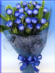 19 adet e�siz mavi g�l buketi Gaziosmanpa�a Mah �i�ek g�nderme 