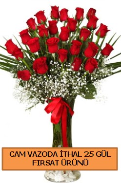  Cam vazoda ithal 1. kalite 25 g�l Tando�an Mah g�venli kaliteli h�zl� �i�ek 