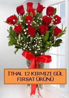 �thal k�rm�z� 12 adet kaliteli g�l Osmanl� Mah �i�ek online �i�ek sipari�i 