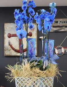 4 dall zel mavi orkide Menderes Mah iek yolla , iek gnder 