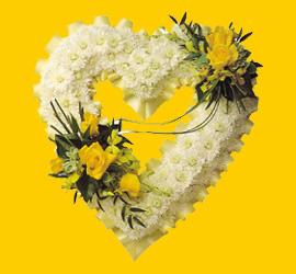 H�rriyet Mah 14 �ubat sevgililer g�n� �i�ek  1.20m x 1m  Gerbera - G�ller